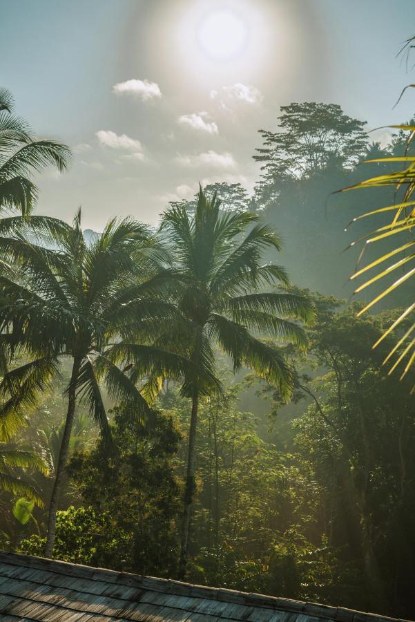 Kanva Ubud テガララン エクステリア 写真