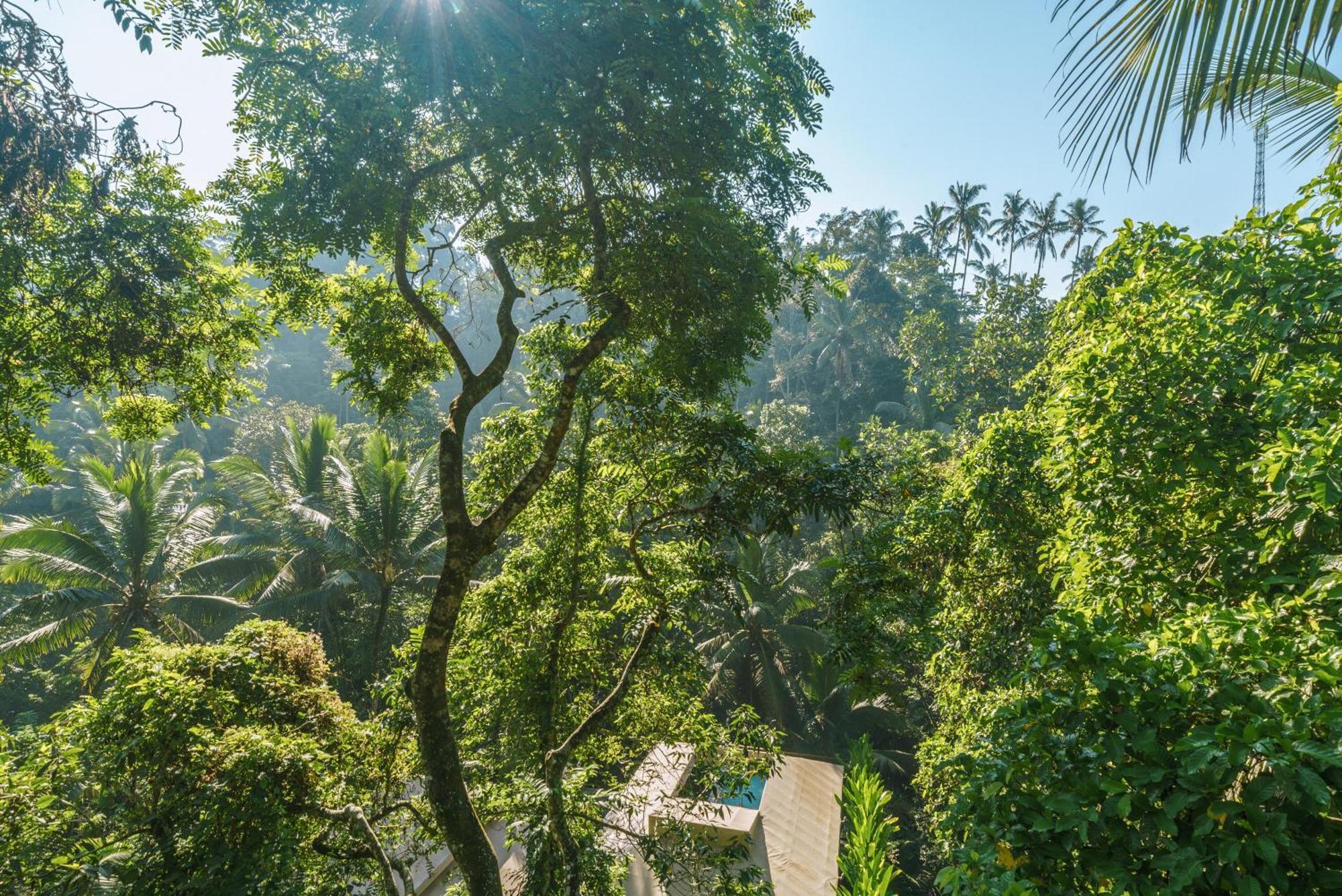 Kanva Ubud テガララン 部屋 写真