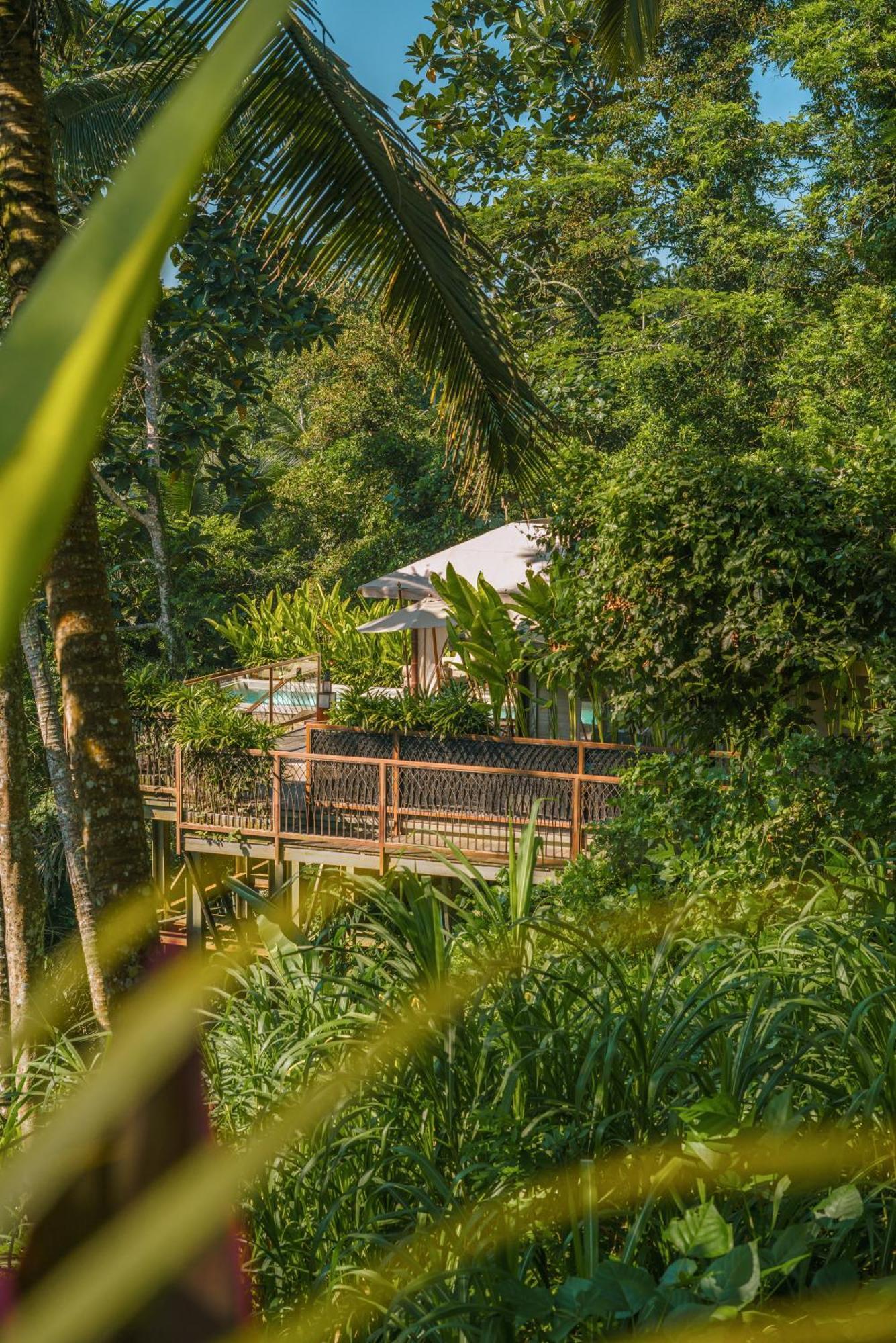 Kanva Ubud テガララン 部屋 写真